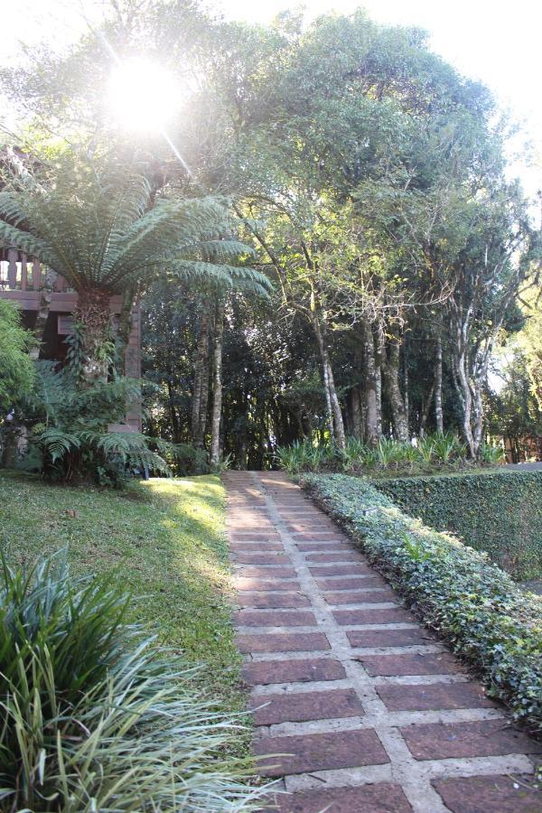 Pousada Floresta Negra Canela Bagian luar foto